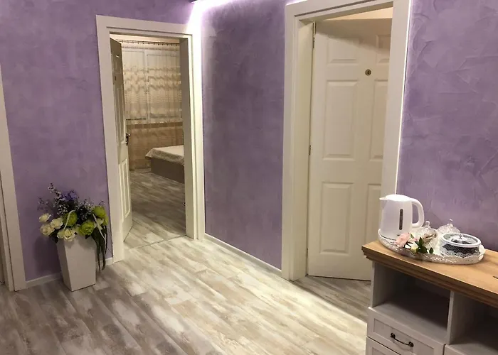 флама резидентс * 普罗夫迪夫